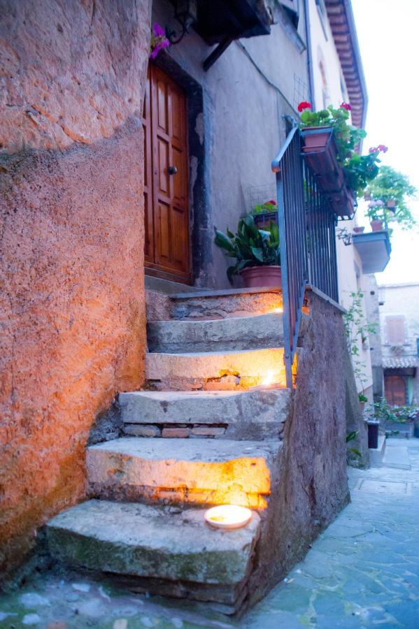 Villa Casa Flora Civitella dʼAgliano Esterno foto