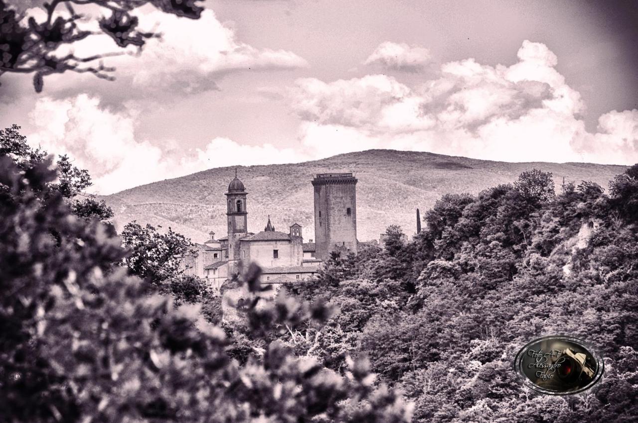 Villa Casa Flora Civitella dʼAgliano Esterno foto